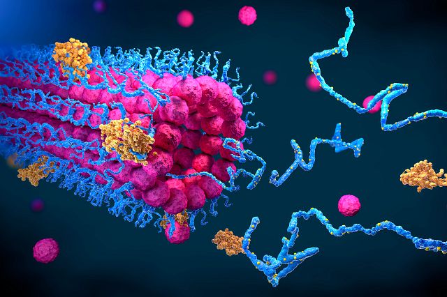 Protein Engineering Market: Growing Demand for Customized Therapeutics Drives Market Growth
