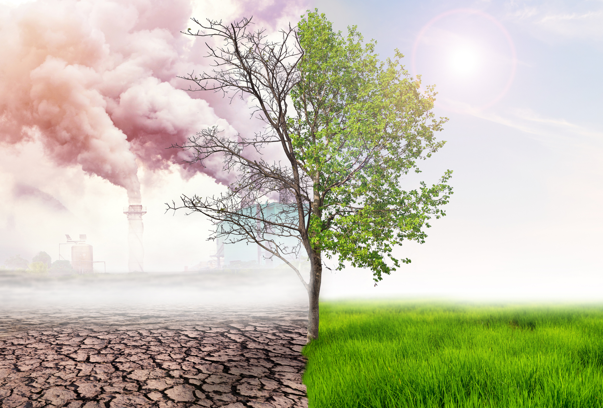 Climate Change Consulting Market Set To Grow Rapidly Driven By Increasing Environmental Concerns