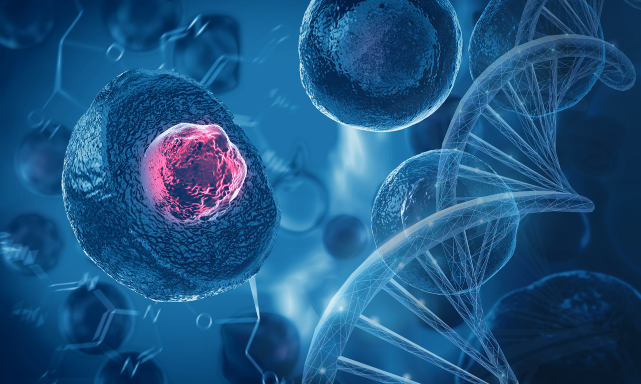 The Global Allogeneic Stem Cell Transplantation Market Growth Accelerated By Increasing Demand For Treating Autoimmune Diseases 