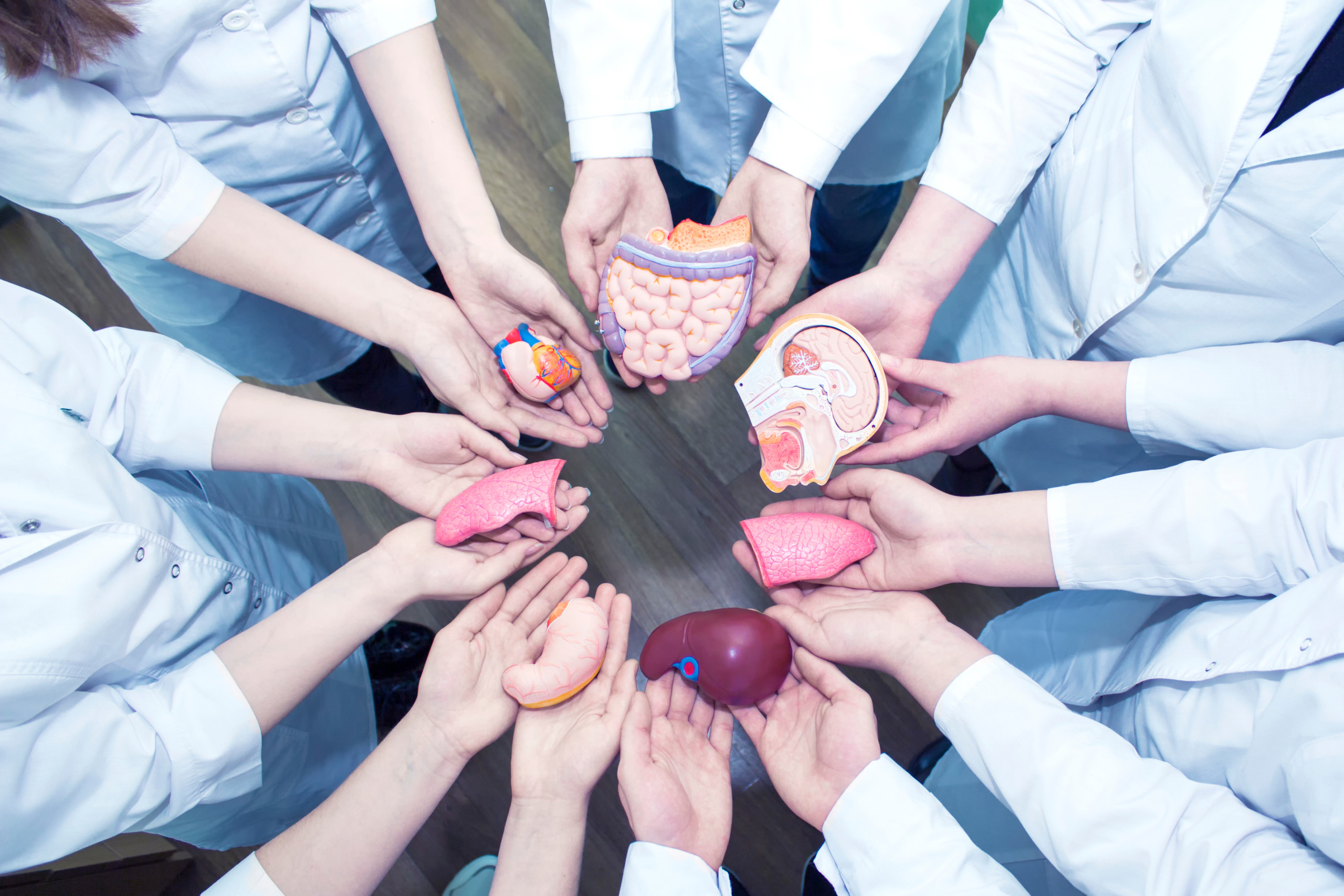 Organ Transplant Immunosuppressant Drugs Is Fastest Growing Segment Fueling The Growth Of Organ Transplant Market