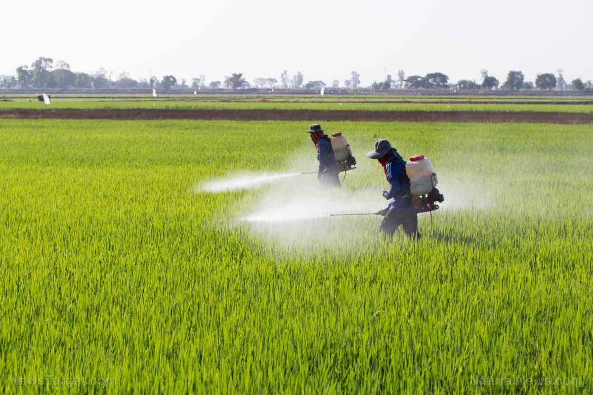 Pesticides Are The Fastest Growing Segment Fueling The Growth Of Crop Protection Chemicals Market