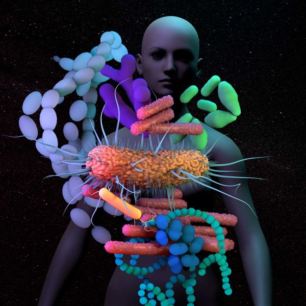 The Global Human Microbiome Market Growth Accelerated By Microbiome Dysbiosis Treatment