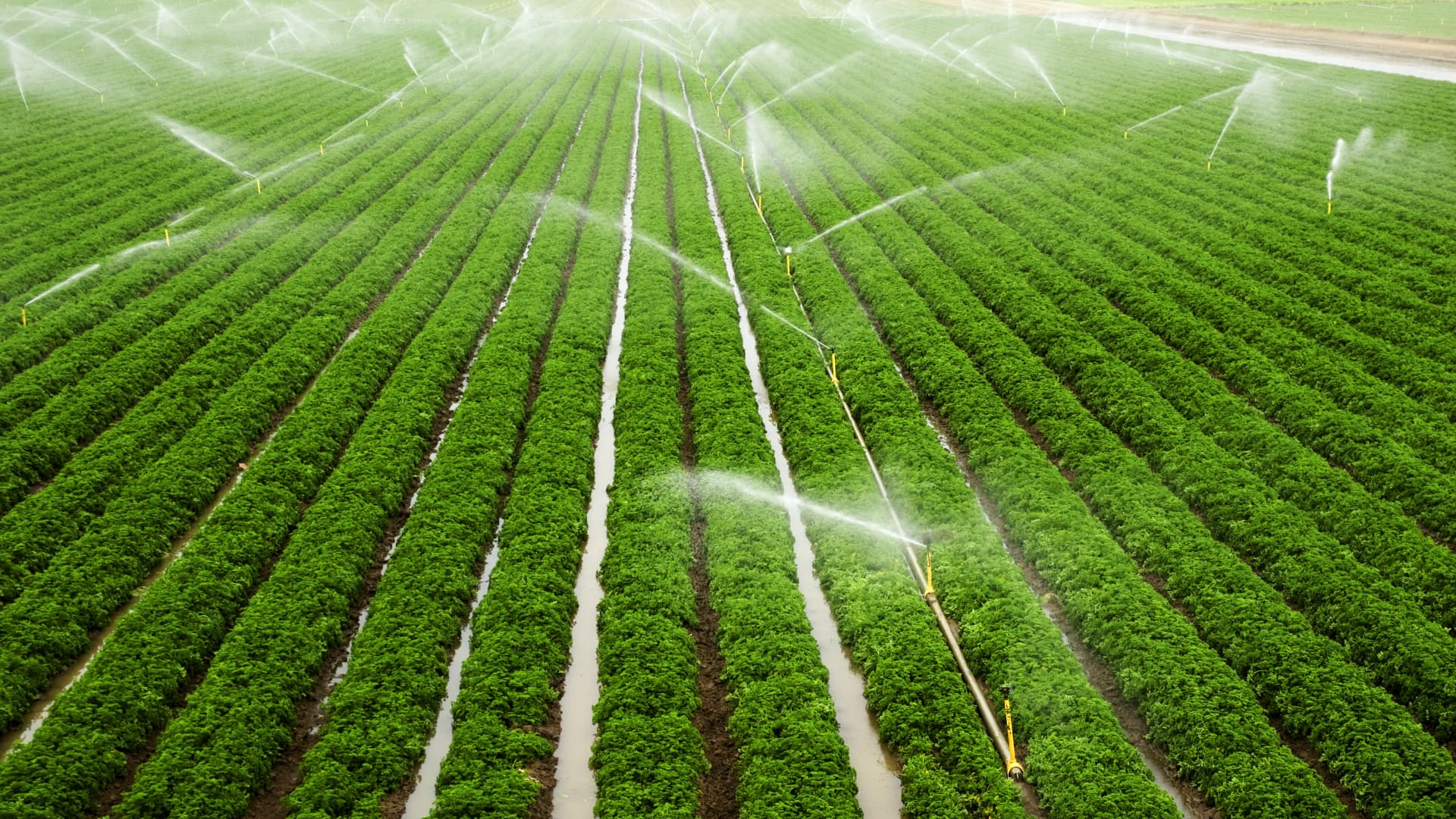 The Global MENA Drip Irrigation System Market Growth Accelerated By Increased Adoption Of Advanced Technologies