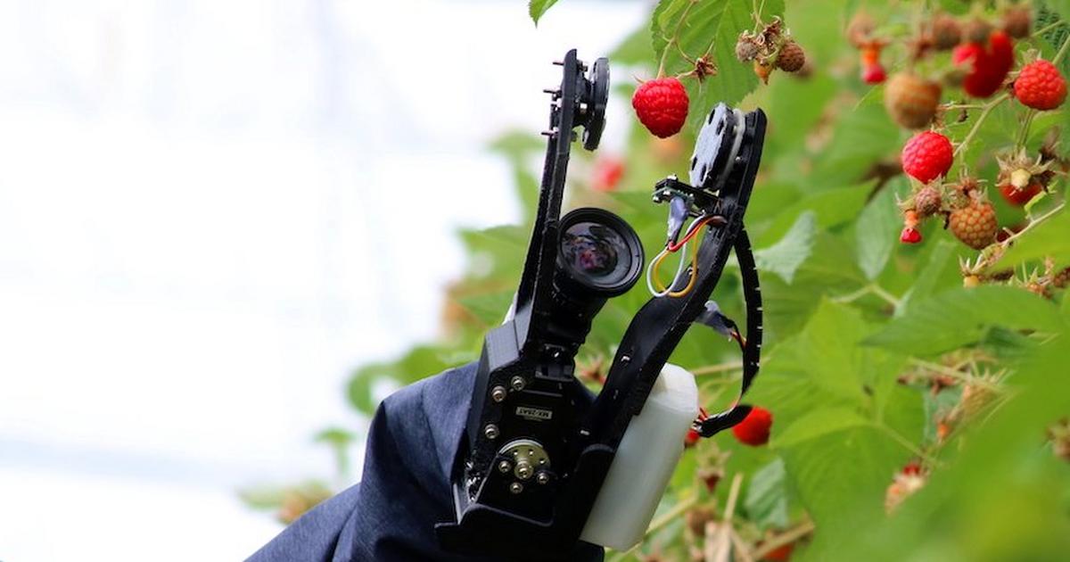Fruit Picking Robots Market: Increasing Automation in Agriculture to Drive Market Growth