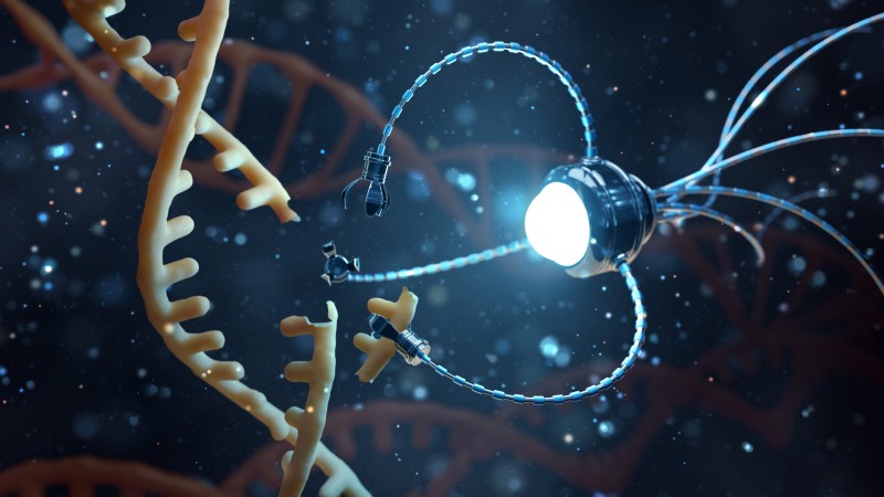 DNA Nanotechnology Market Is Driven By Potential Applications In Healthcare Sector 