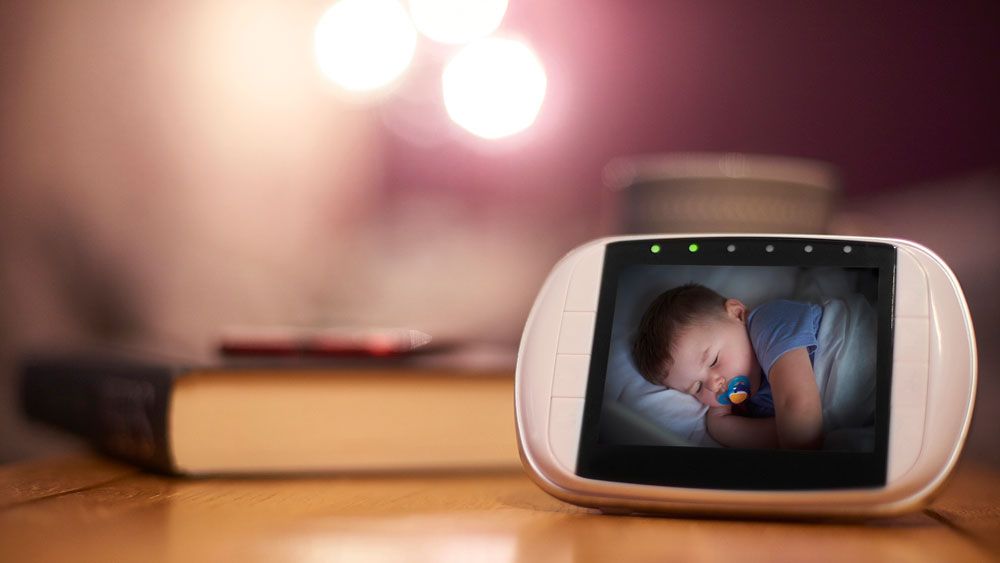 Fastest growing segment fueling growth of the Video Baby Monitors Market