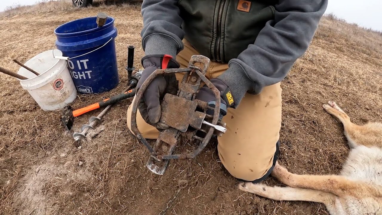 Dirt Hole Auger: The Essential Tool for Digging Deep Holes