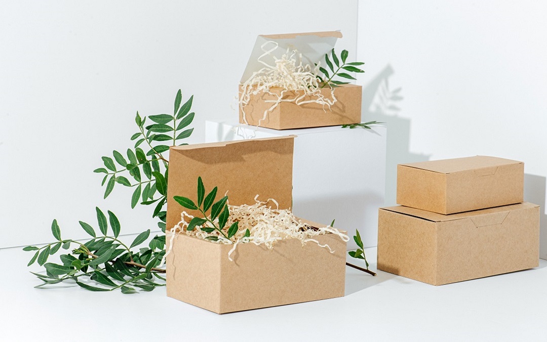 Driving Towards a Sustainable Future: The Urgent Need for Green Packaging Solutions