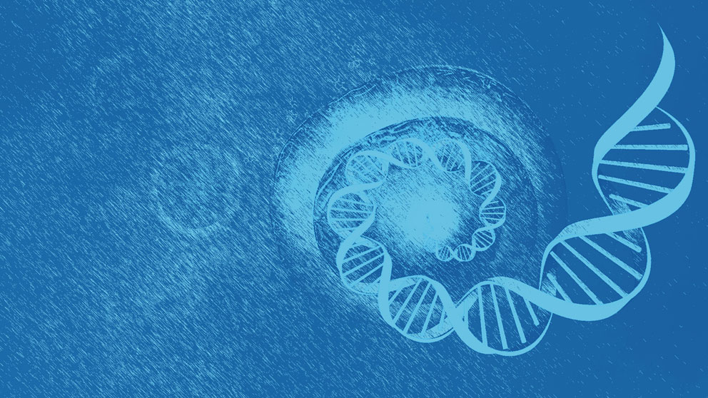 Global Single Cell Genome Sequencing Market Growth Accelerated By High Adoption In Genetic And Cancer Research