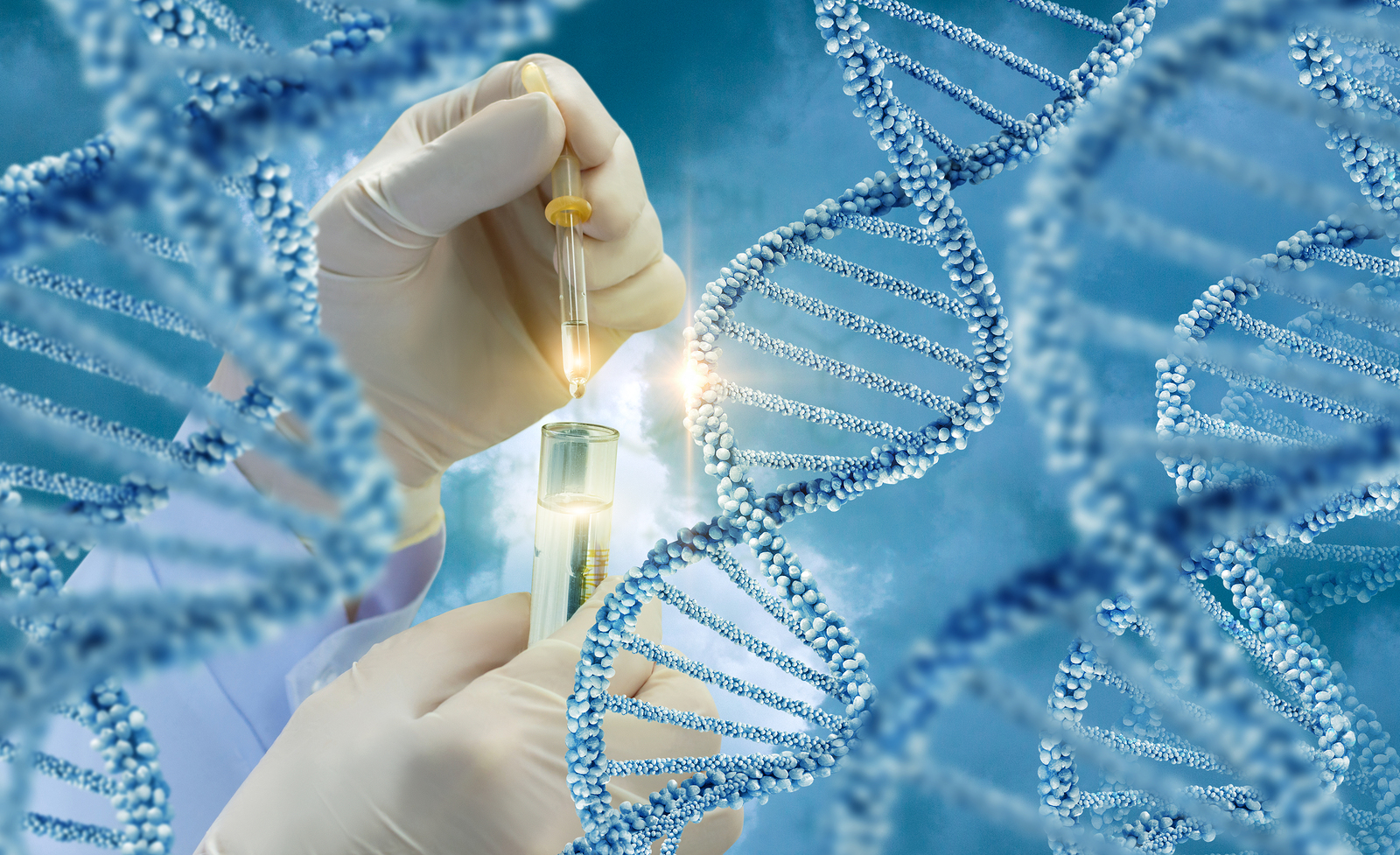 Scaling New Heights: Perspectives on the Global Frontier of DNA Nanotechnology