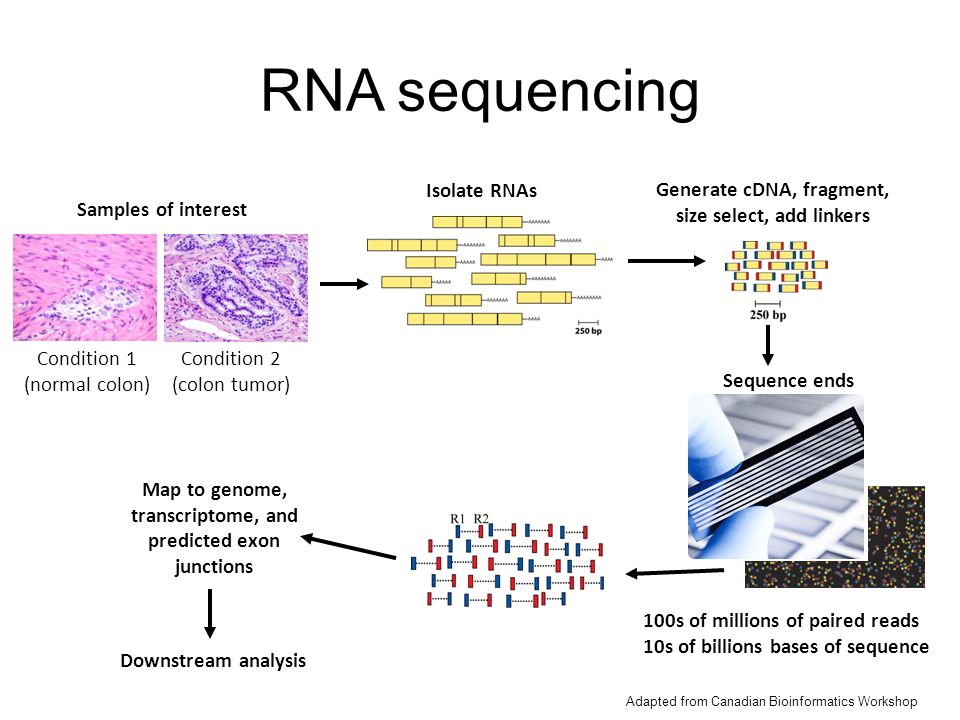 RNA Sequencing Revolution: Current Trends and Future Prospects