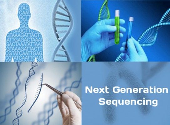 Sequencing the Future: Next Generation Sequencers Market Trends and Insights
