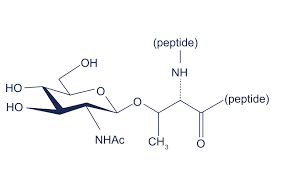 Glycosylated Peptide Market Trends, Growth, Size and Industry Forecast, 2023-2032 