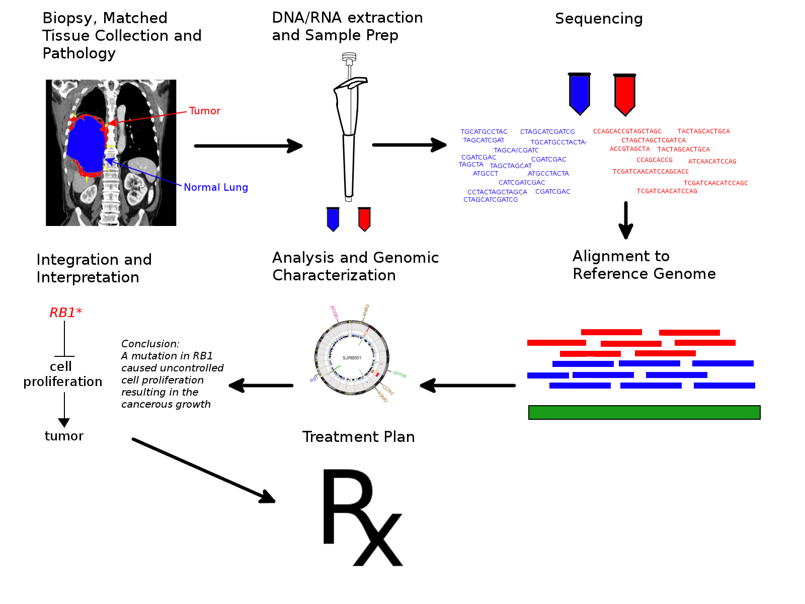 Genomic Prowess in Cancer Care: A Deep Dive into the Evolving Landscape of Sequencing Markets
