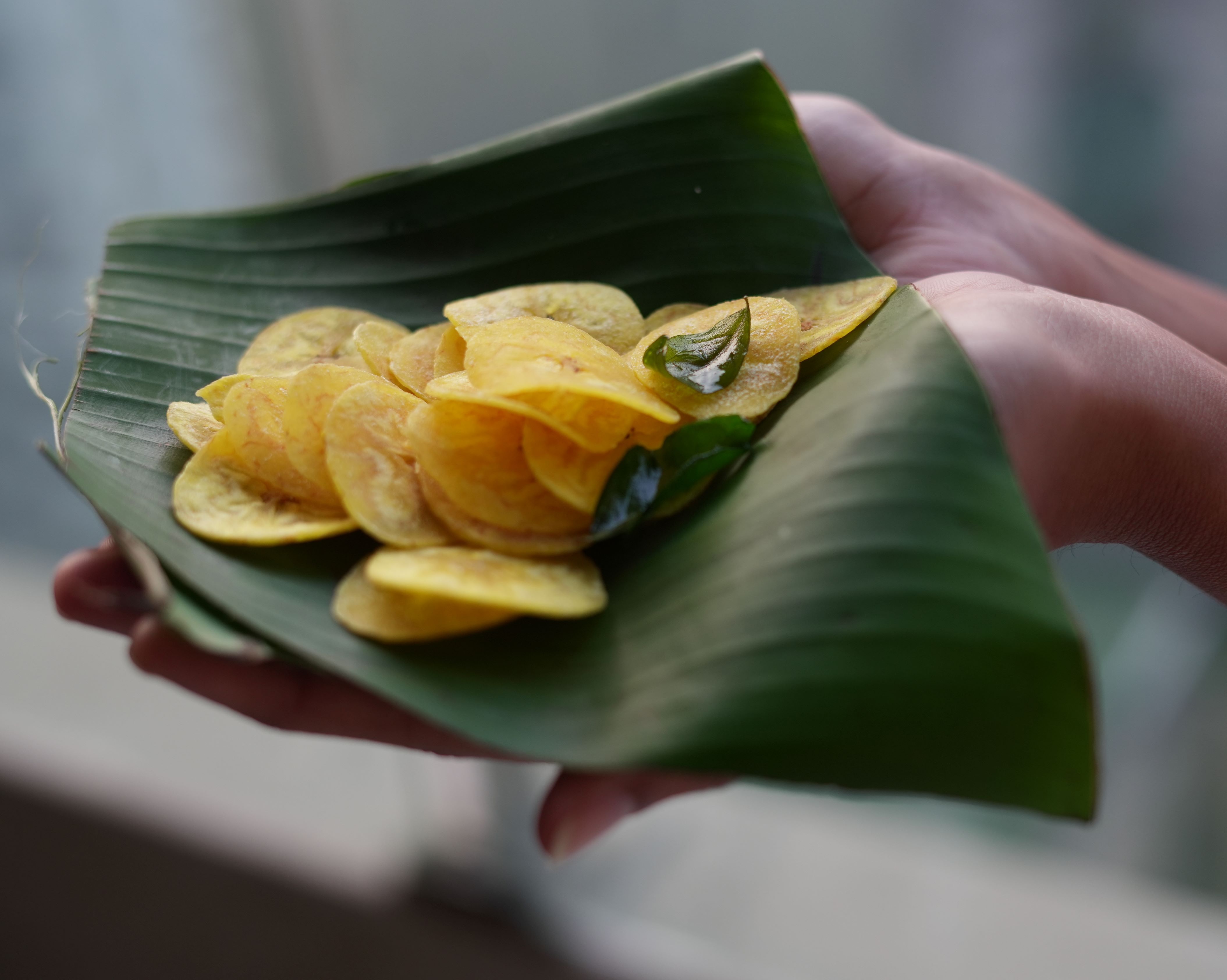 Crunchy Mysteries Unveiled: Your Banana Chips Questions Answered | Tocco