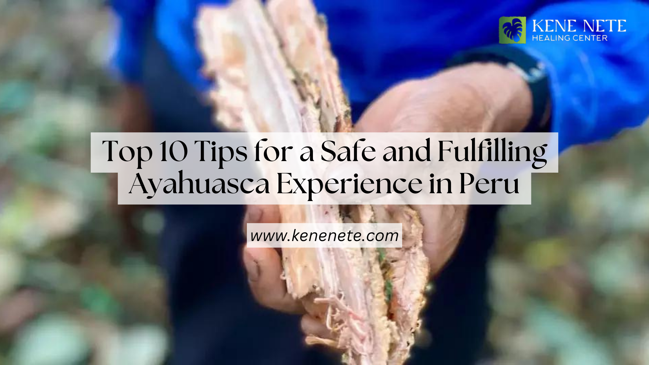 Top 10 Tips for a Safe and Fulfilling Ayahuasca Experience in Peru