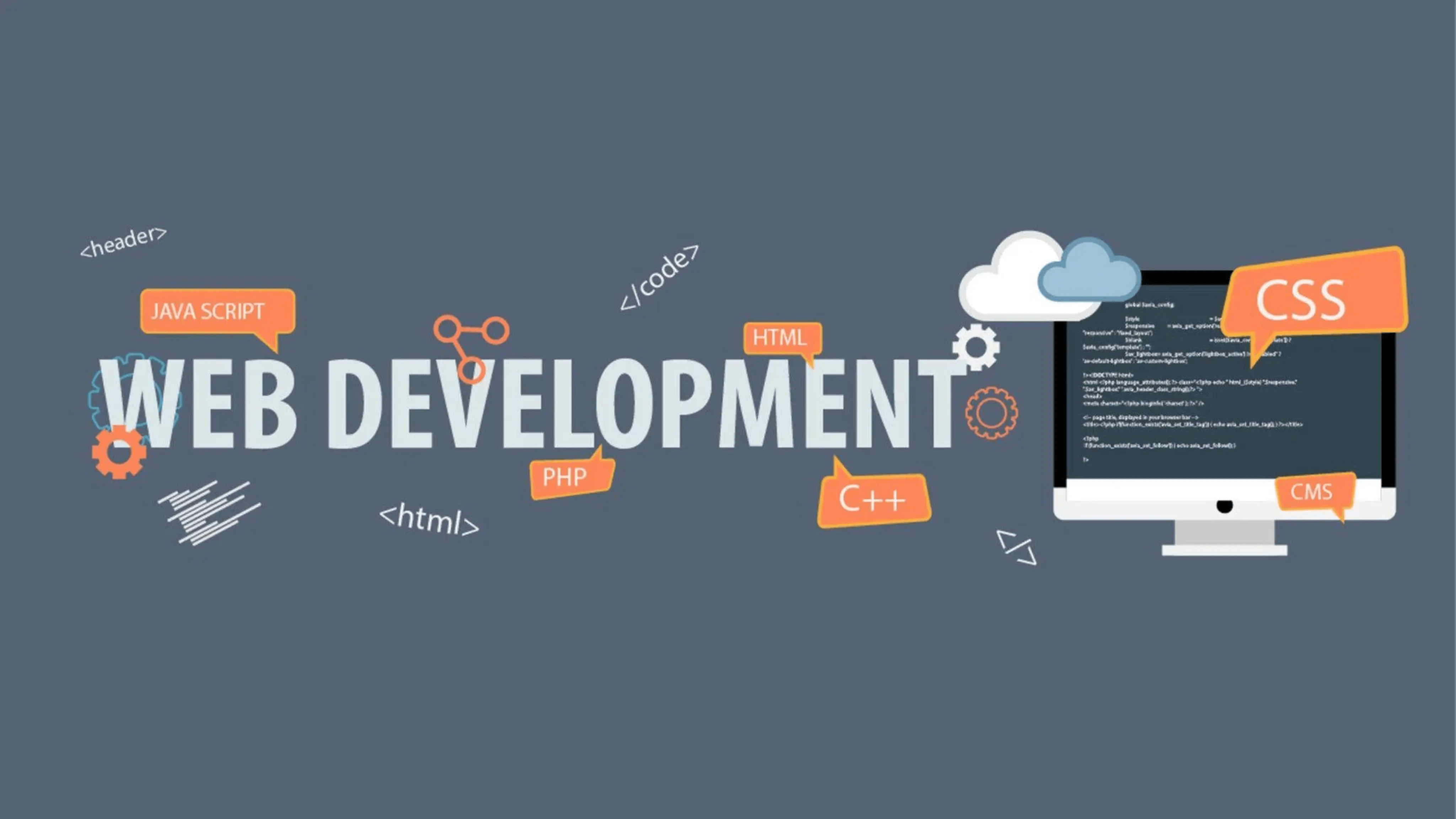 Professional Web Development Company in Mohali: The Key to Online Success