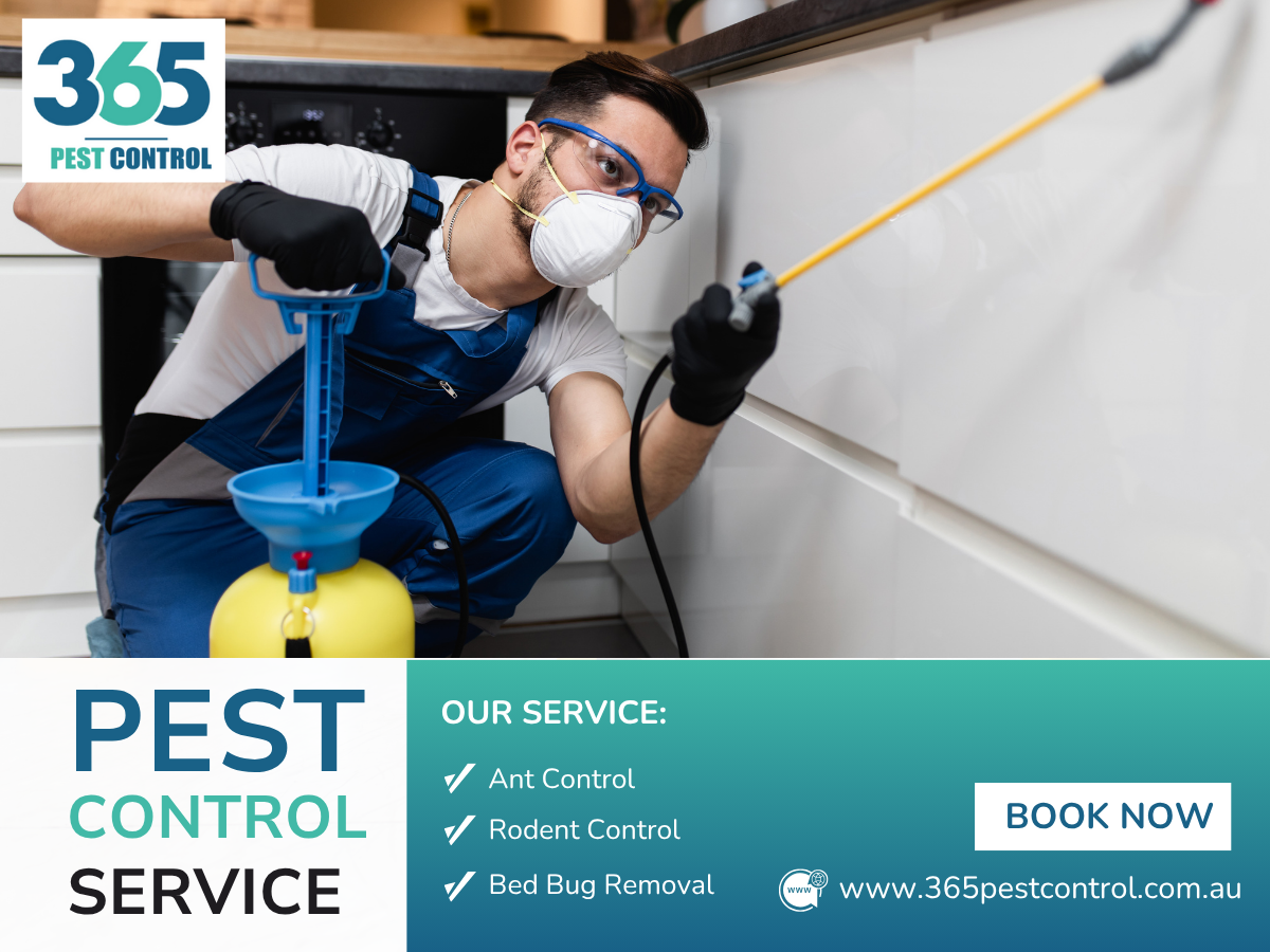 The Essential Guide to Pest Control: What You Need to Know