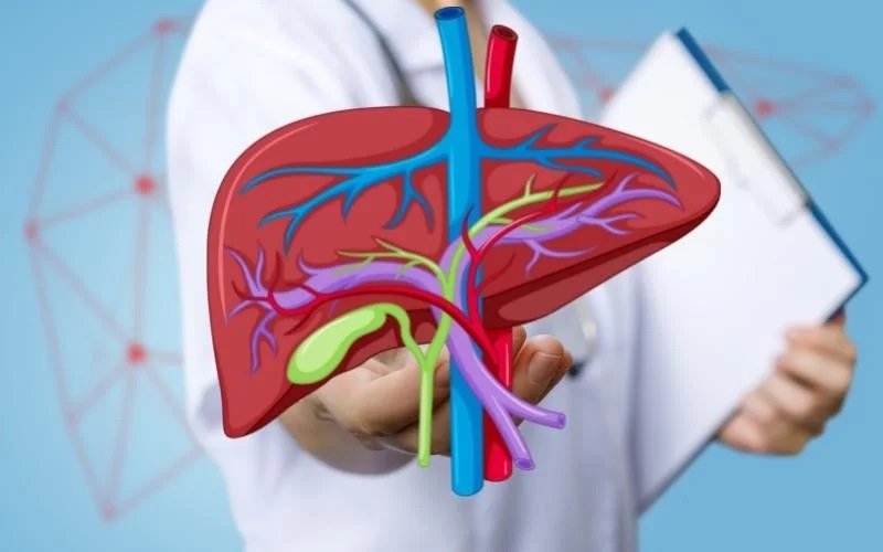 Bile Duct Cancer Market is Estimated to Driven by Rising Geriatric Population 