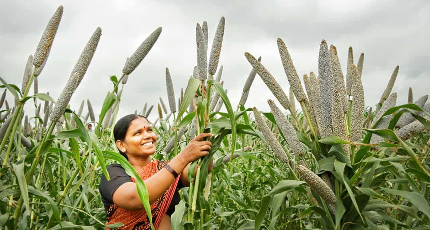 Maximizing Yield: A Guide to Agricultural Micronutrients