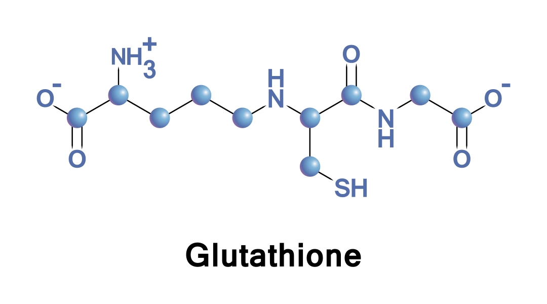 Glutathione Market is Anticipated to Witness High Growth Owing to Rising Health Consciousness Among Consumers