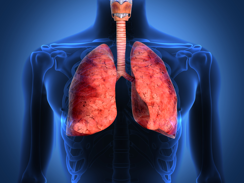Pleural Diseases Market Owing To Rising Prevalence Of Lung Cancer