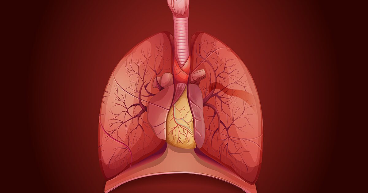 Lung Cancer Surgery Market driven by increasing incidence of lung cancer cases