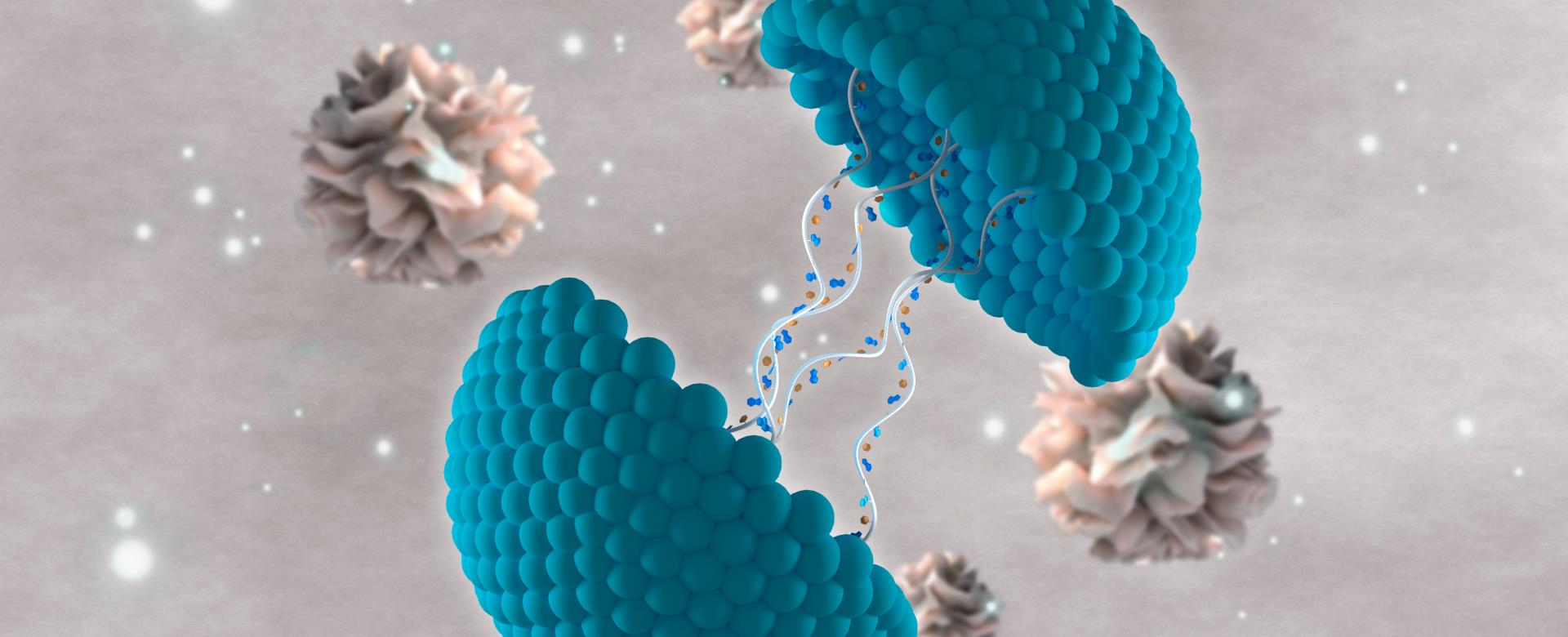 The Magnetic Connection: Enhancing Drug Delivery Efficiency
