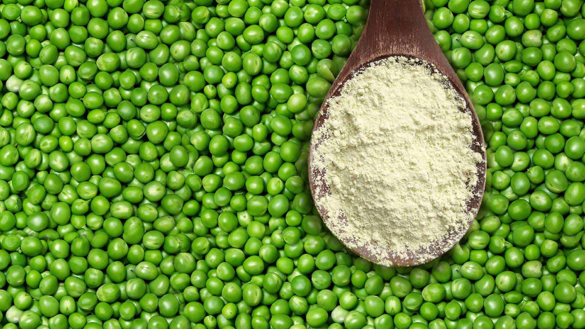The Pea Protein Market is Estimated To Witness High Growth Owing To Rising Demand for Plant-based Protein
