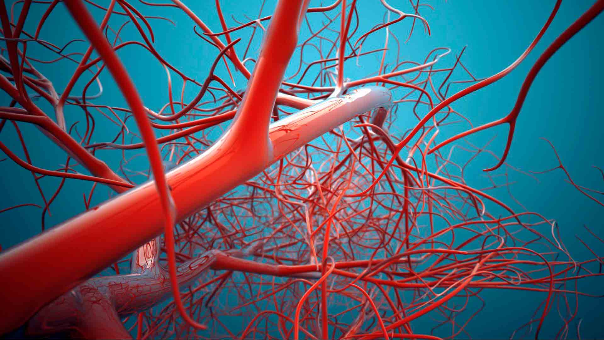 Global Vascular Imaging Market: Navigating Growth Trajectories