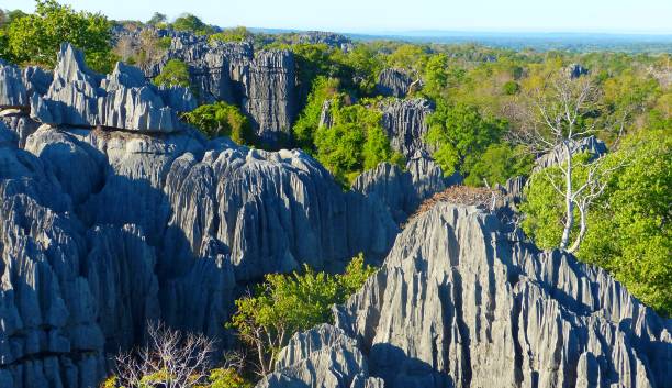 9 places to visit in Madagascar that are the perfect blend