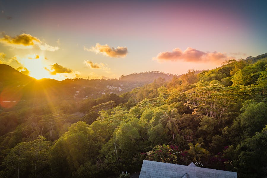 Top 5 Activities to Enjoy on a Seychelles with Family