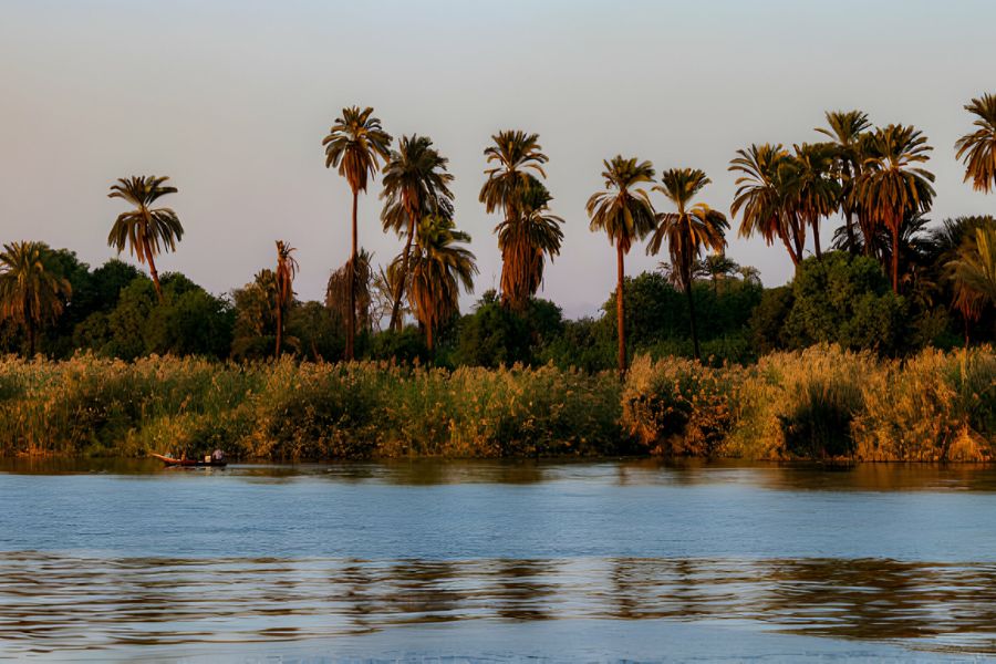  The Top 5 Exciting Places and Activities to Explore in Egypt