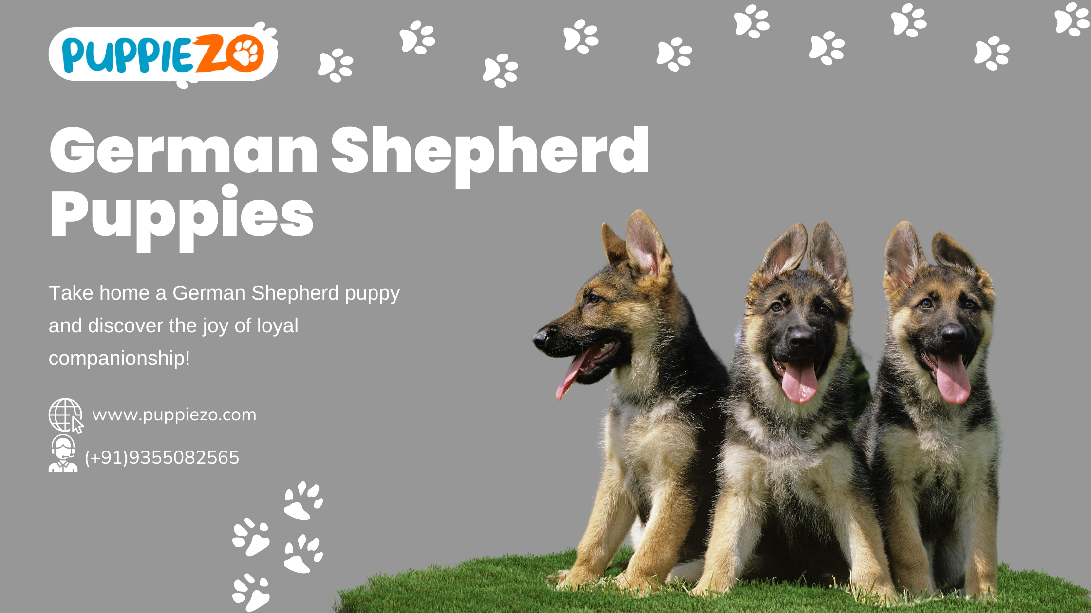 German Shepherd Price in India: A Comprehensive Guide
