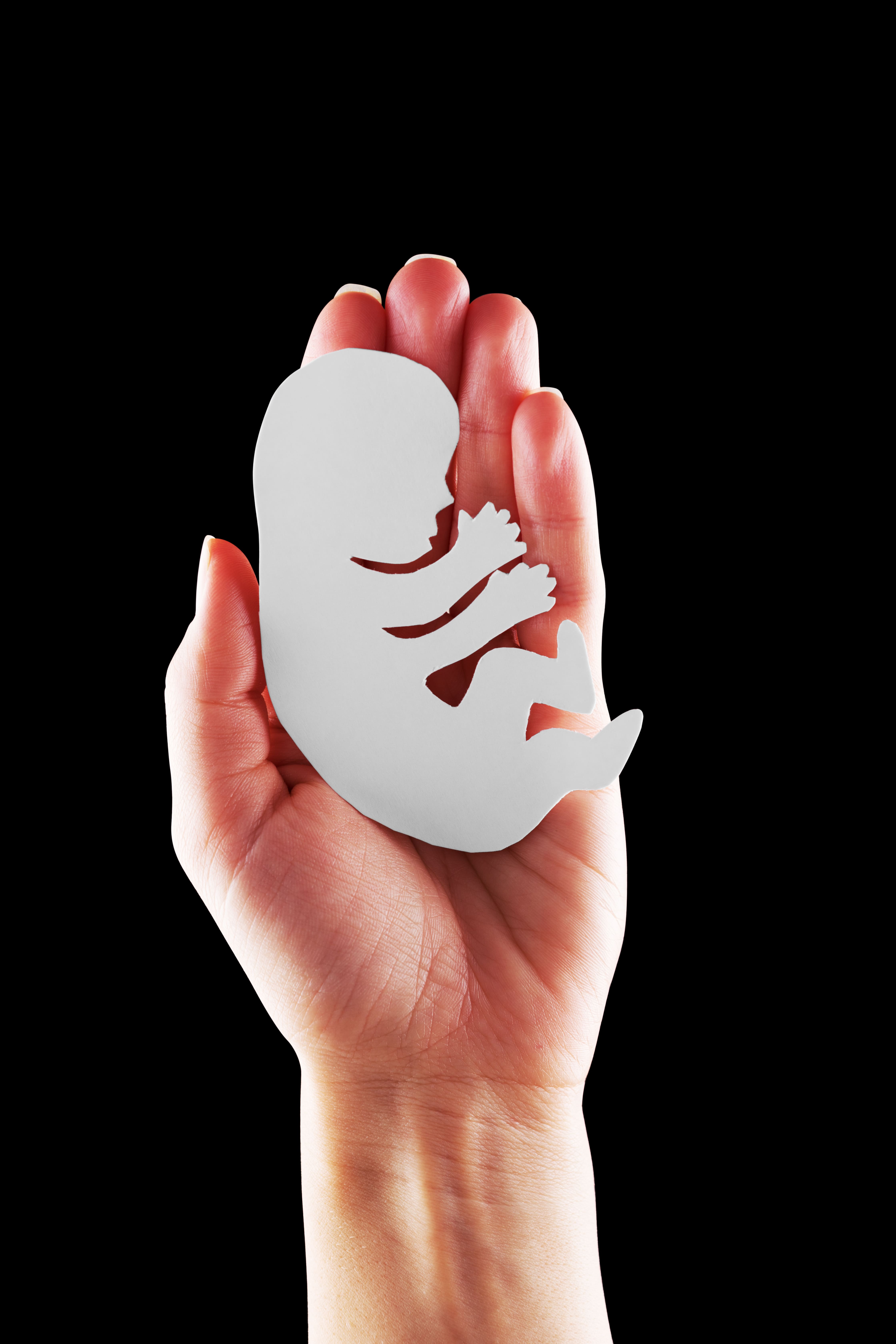 Cortisol and Fertility: The Role of Stress Hormones
