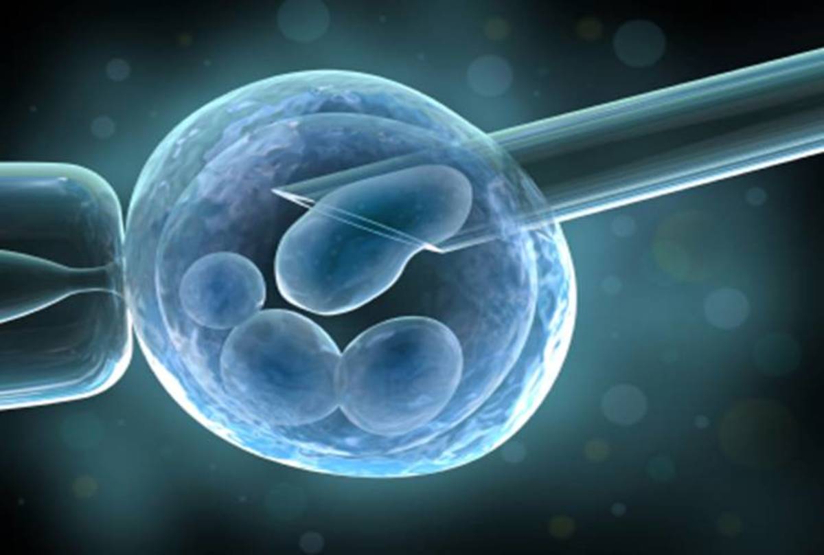 Personalized Cell Therapy Market is Estimated To Witness High Growth Owing To Increasing Demand for Personalized Treatment Approaches