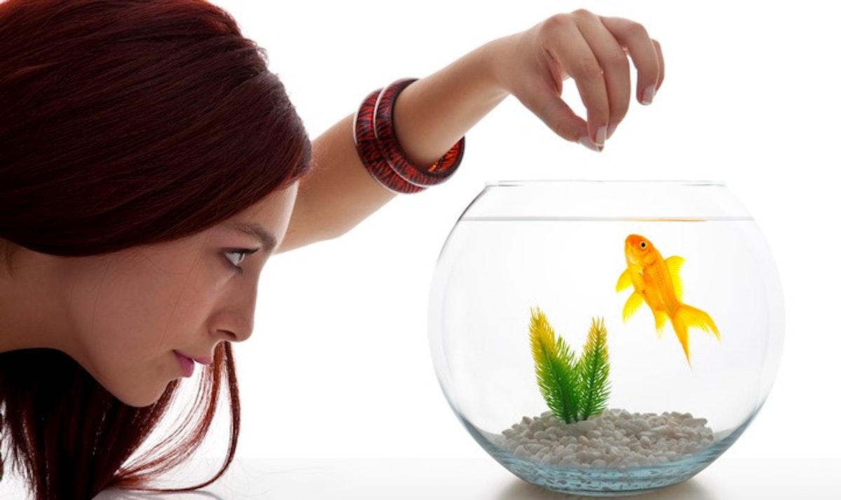Floating Fish Feed Market Is Estimated To Witness High Growth Owing To Increasing Aquaculture Activities