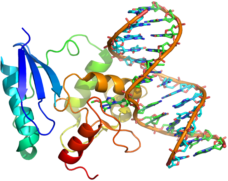 Global Ribonucleic Acid (RNA) Markers Market Is Estimated To Witness High Growth Owing To Rising Demand for Precision Medicine
