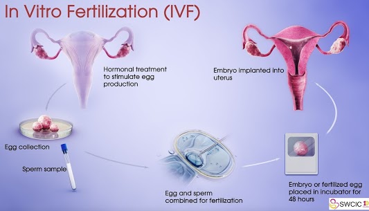 IVF clinic