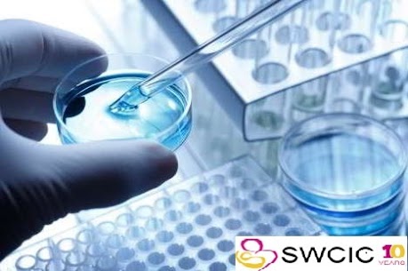 IVF Cost in Hyderabad