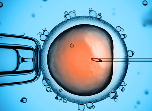 IVF treatment success rates
