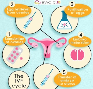 IVF Cost
