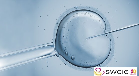 IVF Treatment