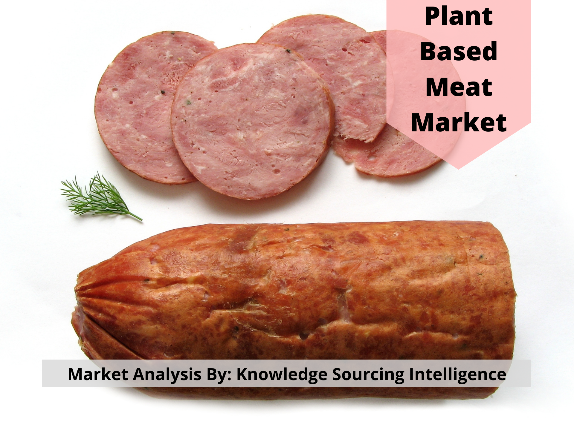 A Complete Analysis of Plant Based Meat Market By Knowledge Sourcing Intelligence