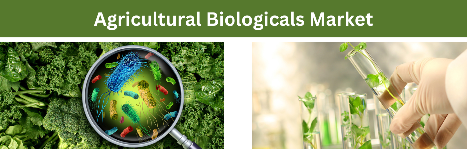 Agricultural Biologicals Market Type, Share, Size, Analysis, Trends, Demand and Outlook 2033