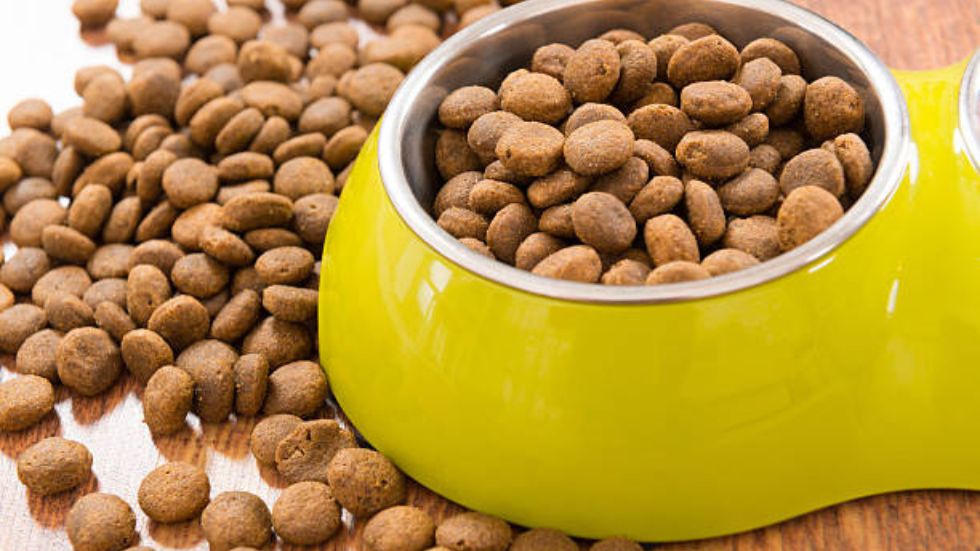 A Comprehensive Review of Menards Dog Food: Quality, Variety, and Value