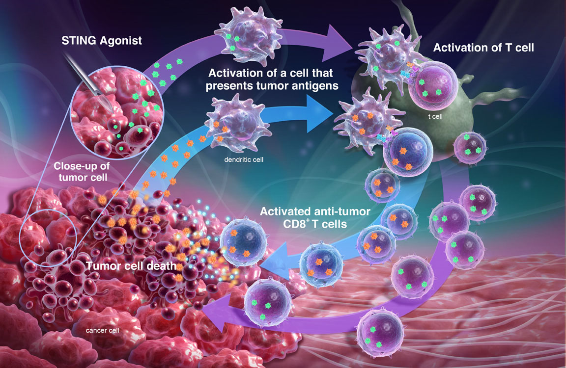 Understanding Global Autoimmune Polyglandular Syndrome Type 1