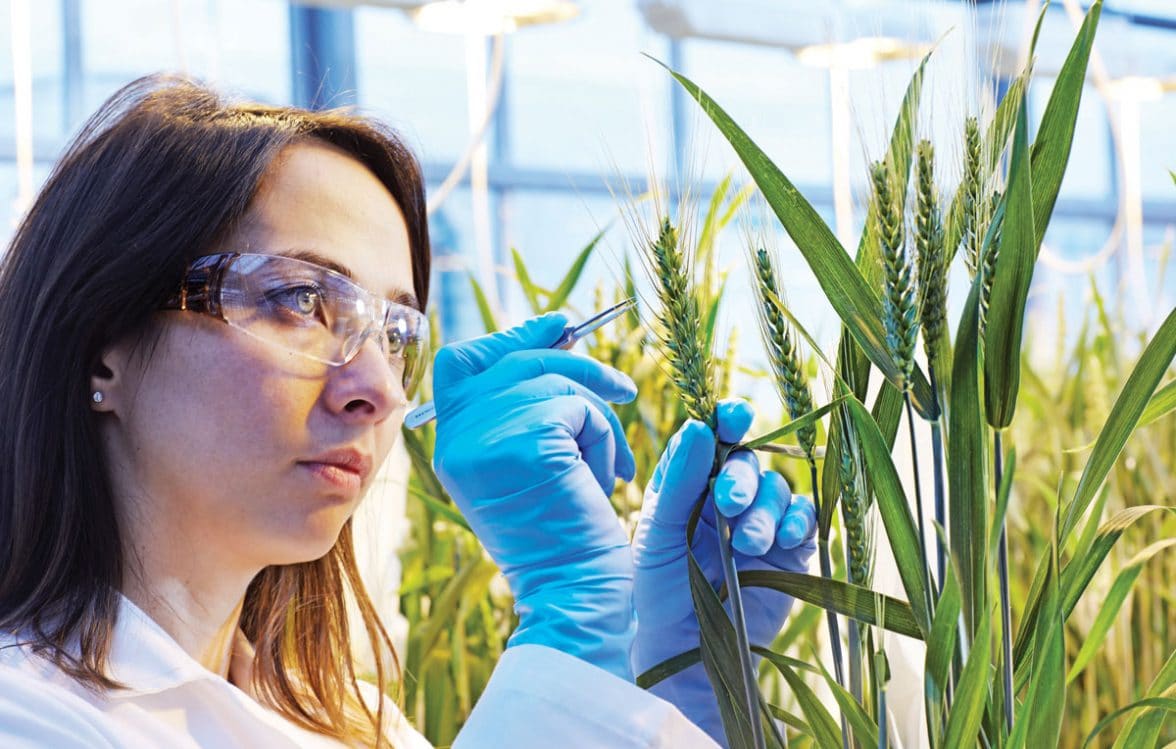Biological Seed Treatment Is Fastest Growing Segment Fueling The Growth Of Biological Seed Treatment Market