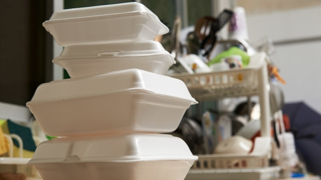 Beyond Bubble Wrap: Biodegradable Foam Packaging Solutions