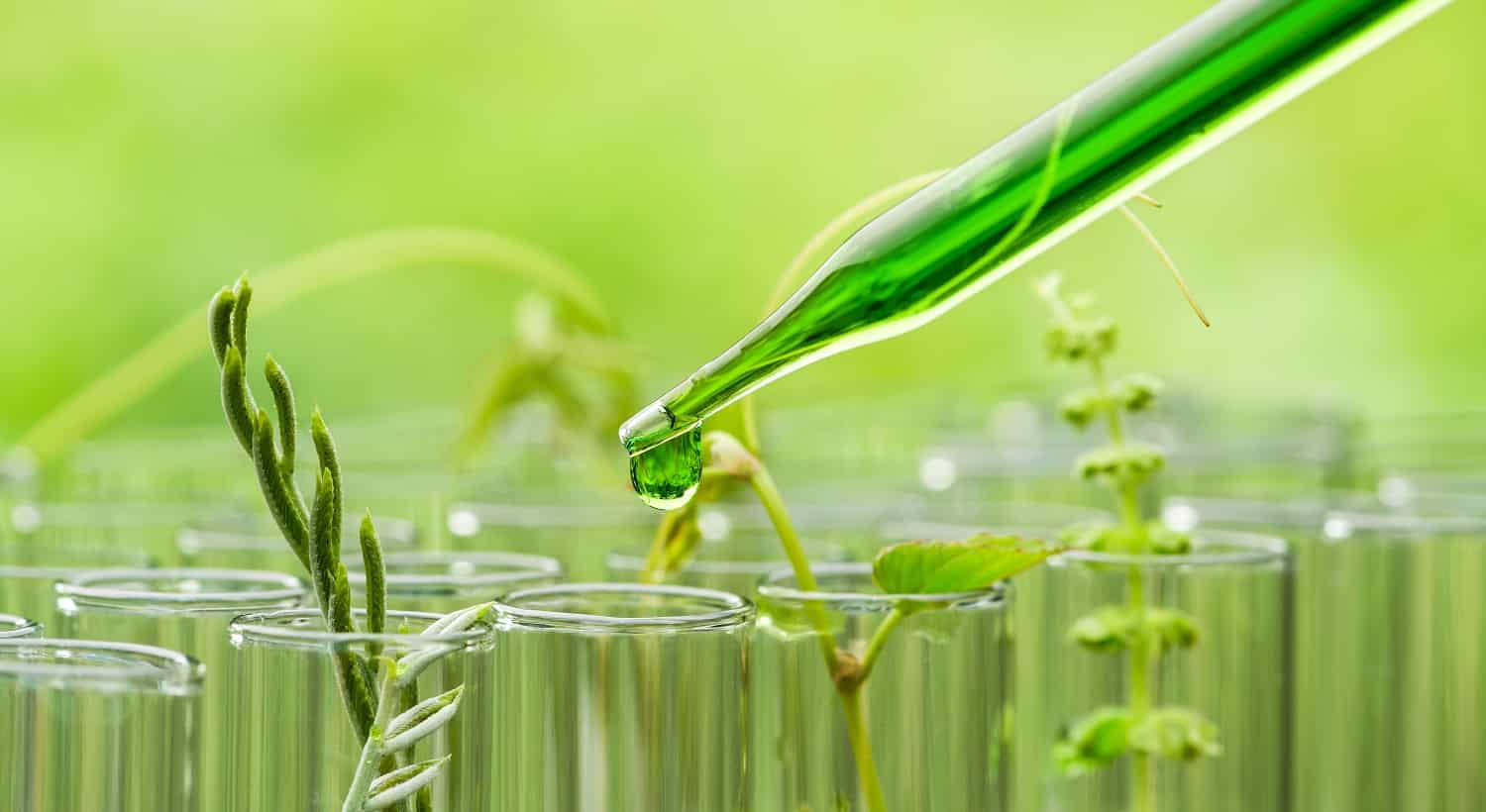 The Global Biotechnology Market Is Driven By Wide Applications In Healthcare And Food Industries 